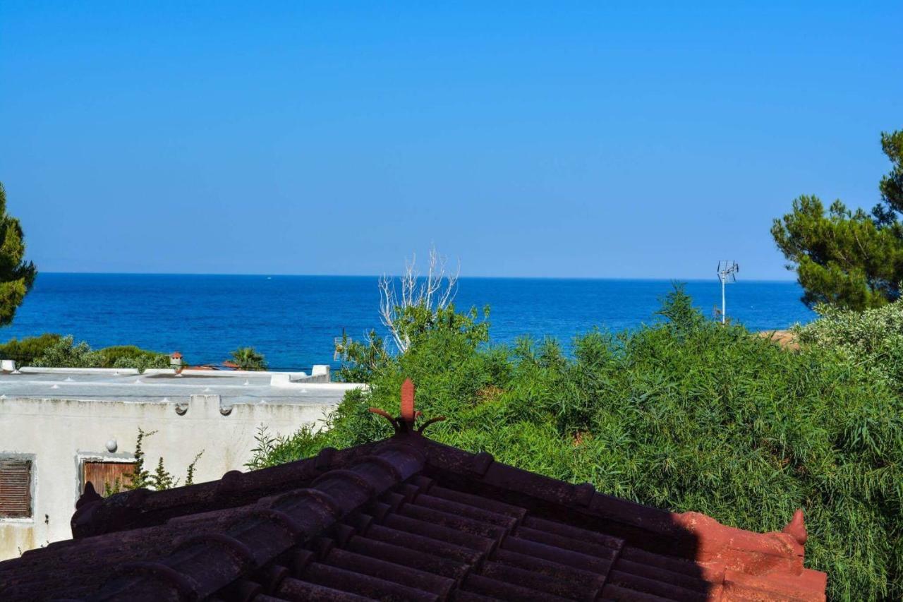 Sofia'S Seaview Villa Near Airport And Beach Артемида Екстериор снимка